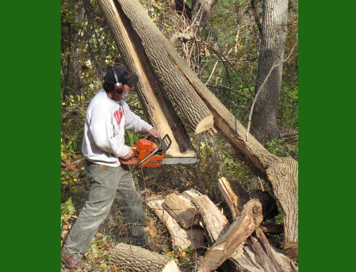 Topnotch Woodworks Tree Service
