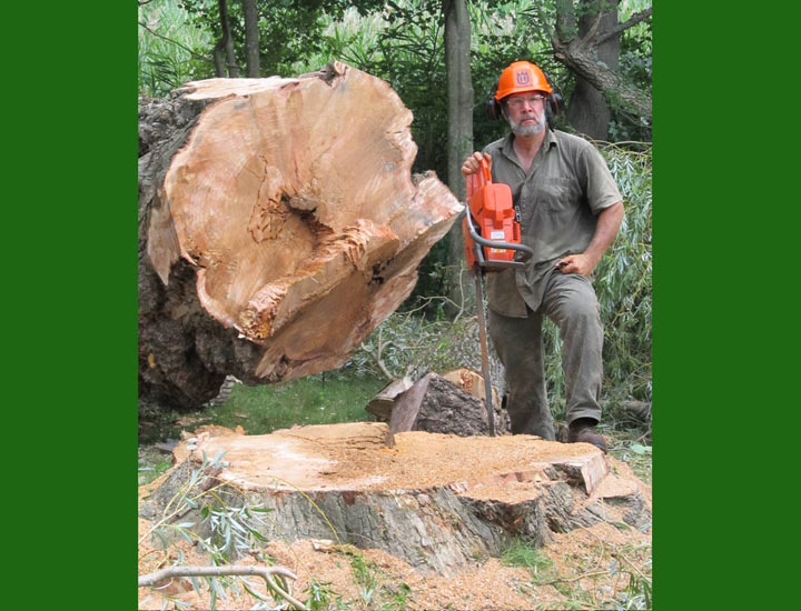 Topnotch Woodworks Tree Service